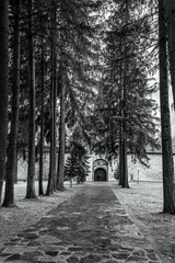 Fototapety na wymiar - Fototapeta24.pl