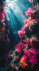 Vibrant underwater scene showcasing colorful coral formations illuminated by sun rays filtering through the water.