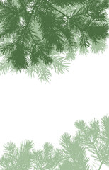 Frame of coniferous branches of pine trees, vertical background with copy space. Vector illustration