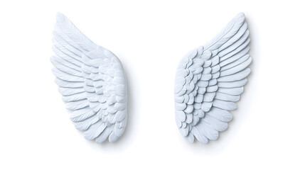 Obraz premium 3d White Angel wings isolated on white background