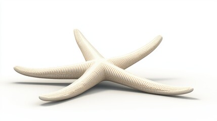 3D Render of Starfish on White Background