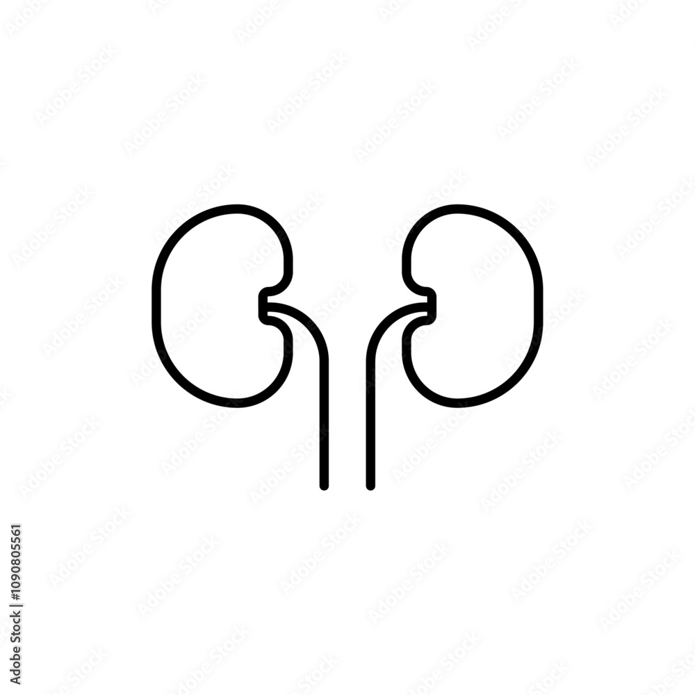 Poster kidney icon web design in vector