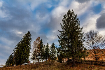 Obraz premium Landscapes - Forest - Europe, Romania, Suceava region