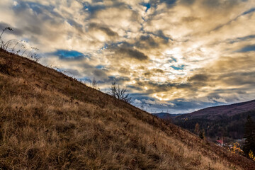 Landscapes - Forest - Europe, Romania, Suceava region