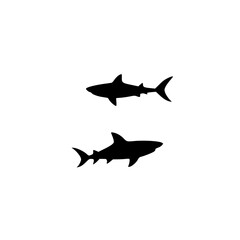 Obraz premium Vector silhouette of a shark on a transparent background