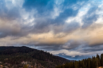 Landscapes - Forest - Europe, Romania, Suceava region