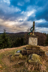 Landscapes - Forest - Europe, Romania, Suceava region