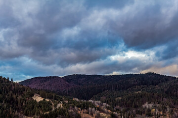 Landscapes - Forest - Europe, Romania, Suceava region