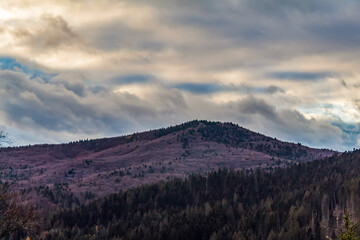 Obraz premium Landscapes - Forest - Europe, Romania, Suceava region