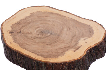 Wooden cut of a tree on a white background, isolate.