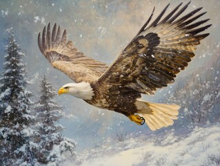 Fototapeta premium A majestic white-tailed eagle soaring through a snowy landscape with evergreen trees in the background during winter