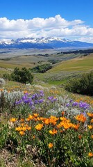 Vibrant wildflowers blanket rolling hills beneath a clear blue sky in a tranquil landscape