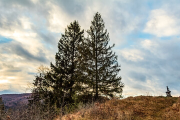 Obraz premium Landscapes - Forest - Europe, Romania, Suceava region