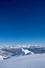 青すぎる空と雪原