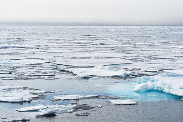 Arctic Ocean, 81° North and 26° East, Svalbard archipelago, Norway, Europe