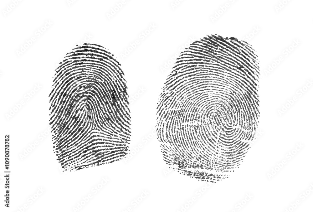 Poster Two fingerprint impressions side by side on a white background. Detailed prints with visible ridge patterns. Concept of identity, security, or biometrics