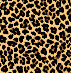 Fototapeta premium Leopard skin texture, real wild cat fur, background design, modern pattern