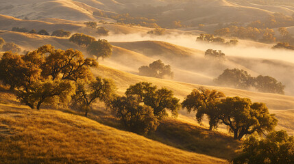 Fototapeta premium Golden mist covering autumn hills with treesGolden mist covering autumn hills with trees