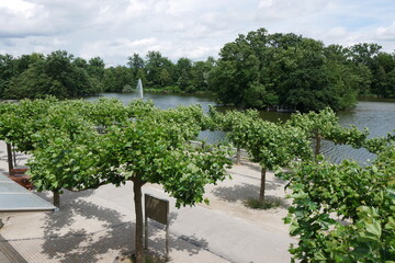 Großer Teich im Kurpark von Bad Nauheim