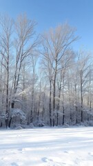 Obraz premium Snow-covered landscape with bare trees and a clear blue sky in the background, seasonal, serene