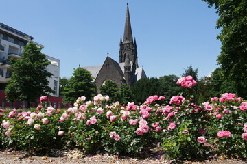 Rosengarten vor Dankeskirche in Bad Nauheim
