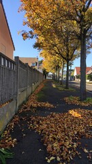 Une belle rue d'un quartier urbain et vide, pendant une belle matinée, rayon du soleil éclatant, des arbres au feuillage orange dans la ville, tapis de feuilles mortes sur le trottoir, belle journée, 