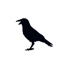 Obraz premium Silhouette of a Crow in Black Haloween