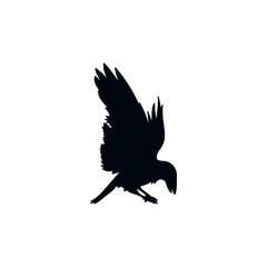 Fototapeta premium Silhouette of a Crow in Black Haloween