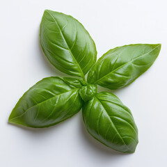 Fototapeta premium Fresh basil leaves with vivid green color arranged in star shape, showcasing their glossy texture and vibrant hue, perfect for culinary use or decoration