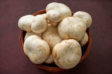 Macro detail shot of natural mountain culture mushroom in bulk.