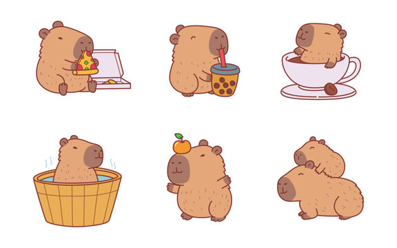 cute and adorable capybara illustration cartoon character