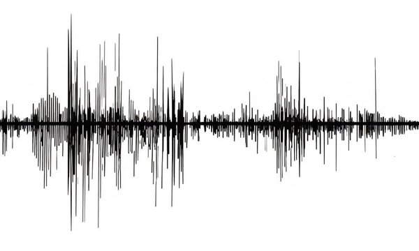 Seismogram waveform depicting seismic activity on a white background with detailed peaks and vibrations