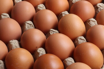 Fresh chicken eggs on carton package