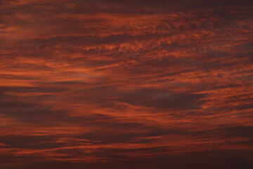 Fototapeta premium orange sunset