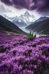 Obraz premium Stunning purple flower field with mountains and dramatic sky in the background