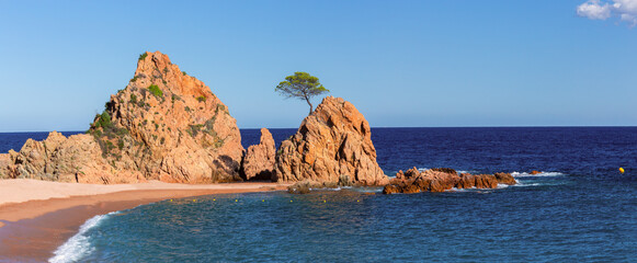 Fototapety na wymiar - Fototapeta24.pl