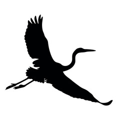 A bird is flying in the sky. The bird is black
