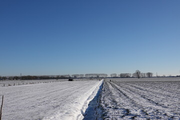 Fototapeta premium landscape with snow