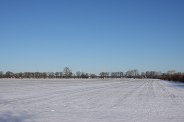 Fototapeta premium landscape with snow