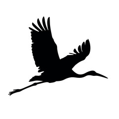 Fototapeta premium A bird is flying in the sky. The bird is black