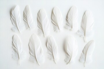 Naklejka premium Delicate white feathers arranged in rows on plain background