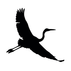 A bird is flying in the sky. The bird is black