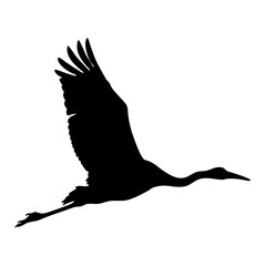 Fototapeta premium A black and white bird flying in the air. The bird is a crane