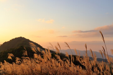 塩塚高原　夕映え　秋　（徳島県　愛媛県）