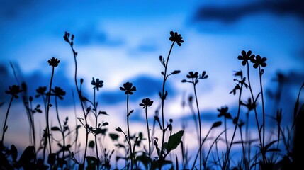 Obraz premium Silhouetted flowers against a twilight sky, creating a serene and tranquil atmosphere.