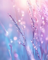 soft-focus close-up of dew-covered blades of grass at sunrise, with bokeh effects and pastel hues enhancing a dreamy feel