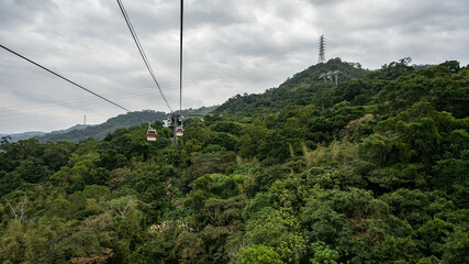 猫空の山とゴンドラ
