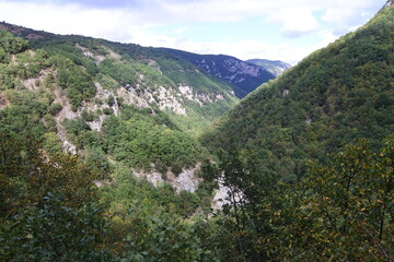 Obraz premium Felsen und Wald im Gorges de Saint-George