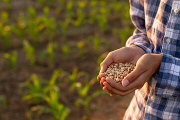 Farmer holding seeds for sustainable agriculture and food security.