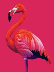 Fototapeta premium pink flamingo bird